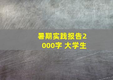 暑期实践报告2000字 大学生